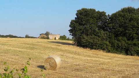 Natural landscape