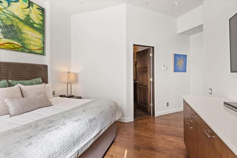 Center of Aspen 2 BR with AC Sundeck Hot-Tub Apartment in Aspen