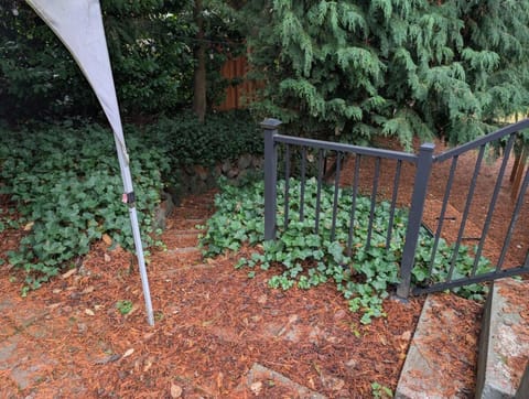 Entire ADU with hottub House in SeaTac