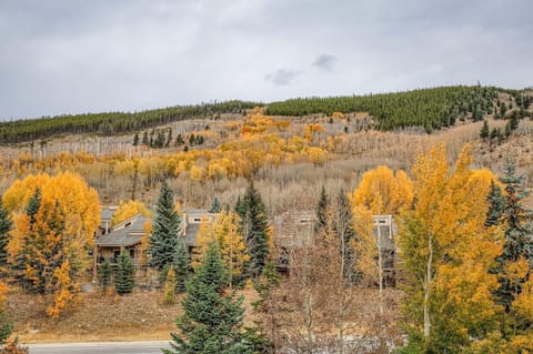 5094 Gateway condo Apartment in Keystone