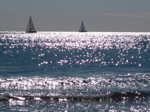 Activities, Fishing, Beach, Sea view