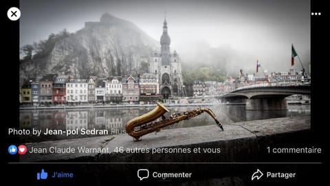 Les Voisins De Mr Sax Bed and Breakfast in Dinant