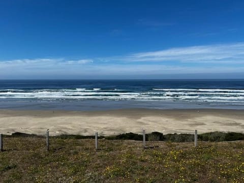 Krakens Kove House in Newport