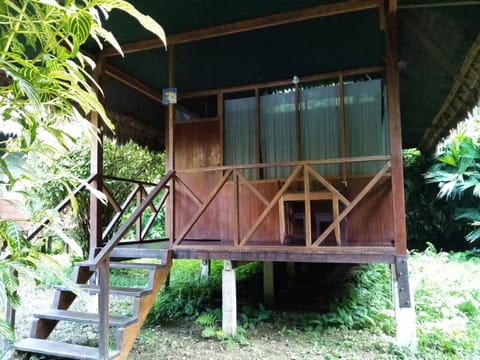 Inotawa Lodge Nature lodge in Peru