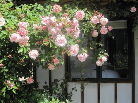 Rose Cottage at The Elms House in Christchurch