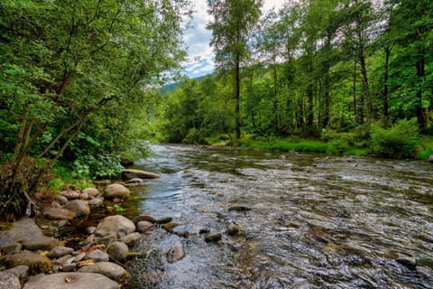 Riverfront Retreat - Mt Hood Views Sleeps 4 House in Welches