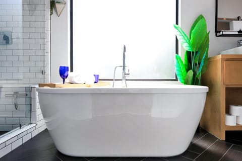 Fiesta - A Birdy Vacation Rental House in San Antonio