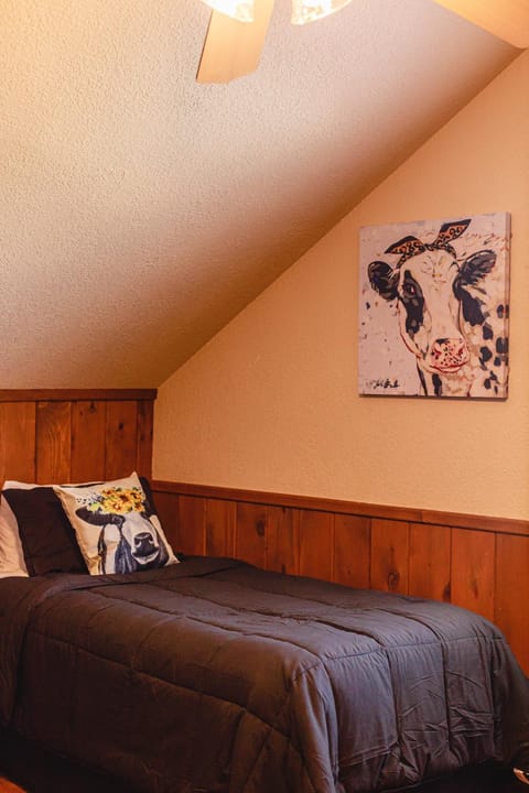 Palacio Del Frio House in Concan