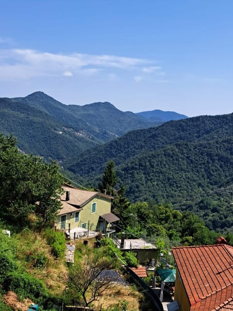 Mountain view