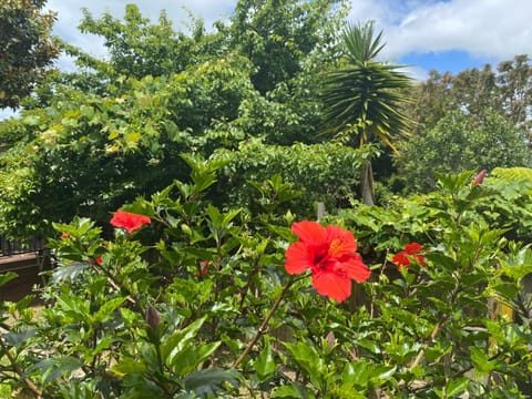 Garden, Garden view