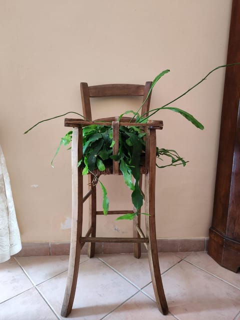 Vigna Renaro Royal Apartment in Gubbio