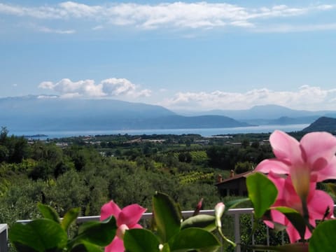Bio B&B Vivere la Vita Bed and Breakfast in Lake Garda