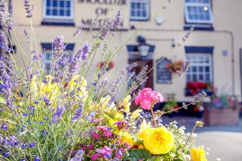 Property building, Facade/entrance, Day, Garden, Decorative detail, Garden view