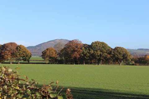 Nearby landmark, Natural landscape