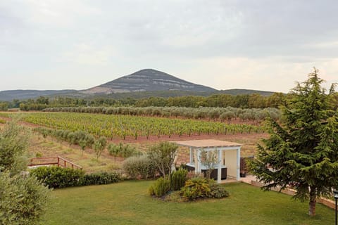 Agriturismo Casale Degli Ulivi Alghero Soggiorno in fattoria in Sardinia