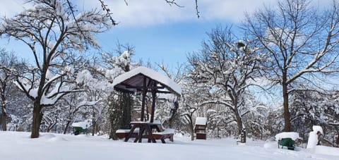 Winter, Garden view