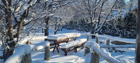 Winter, Garden