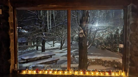 Restaurant/places to eat, Winter, Garden view