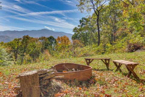 Beautiful Cold Mountain Views! Canton Cabin Cabin in East Fork