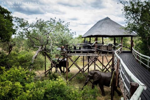 Ezulwini Game Lodges Capanno nella natura in South Africa