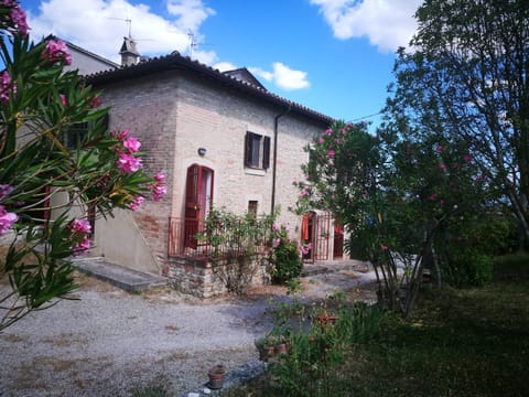 Property building, Spring, Day, Garden, Garden view