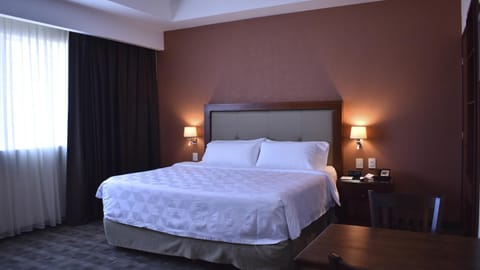 Holiday Inn & Suites Plaza Mayor, an IHG Hotel Hotel in Leon