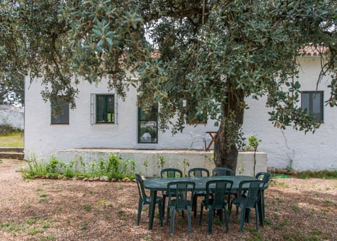 Patio, Garden, Seating area, Dining area