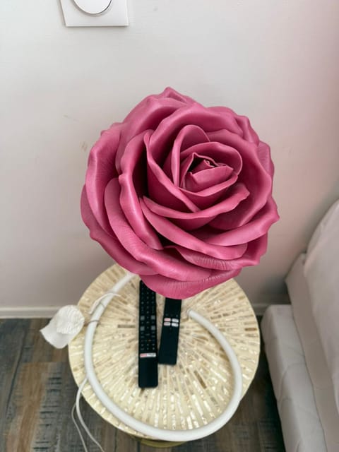 La Cachette Fleurie Apartment in Saint-Louis