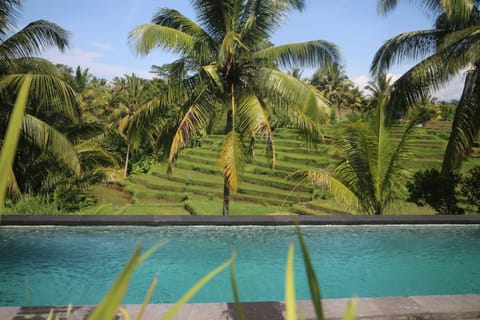 Green House 2 BR PRIVATE POOL VILLA Bed and Breakfast in Ubud