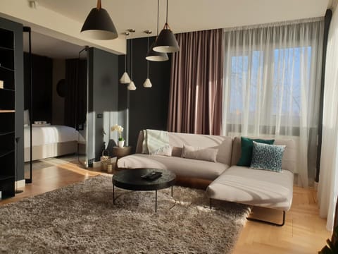 Top View Apartaments Condo in Brasov