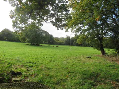 Holland Park Farm Bed and Breakfast in Teignbridge