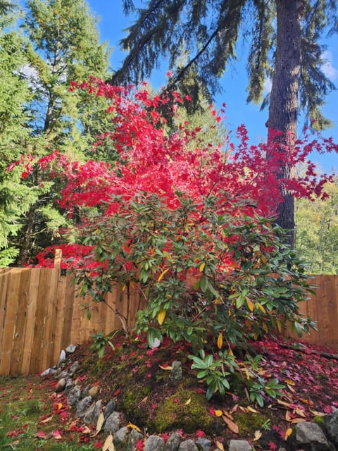 Cozy 2BR SPA Retreat Apartment in Shawnigan Lake