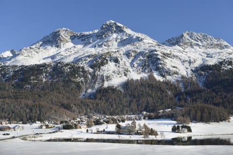 Natural landscape