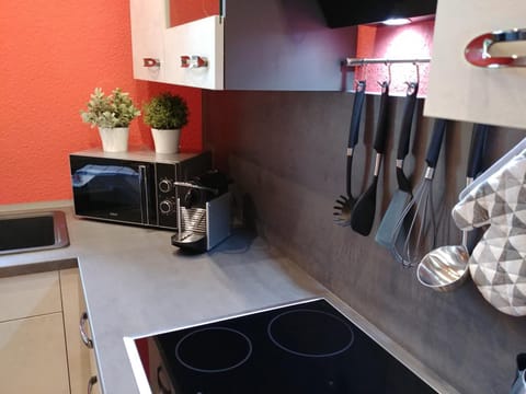 Kitchen or kitchenette, Photo of the whole room, Decorative detail