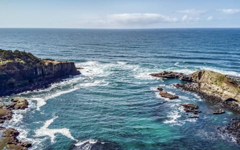 Whales and Waves House in Depoe Bay