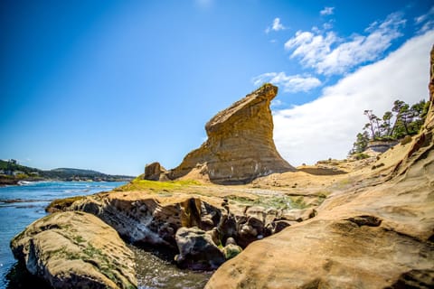 Whales and Waves House in Depoe Bay