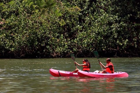 Day, Natural landscape, Canoeing