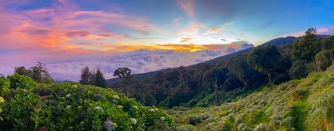 Lagunillas Del Poas Nature lodge in San José Province