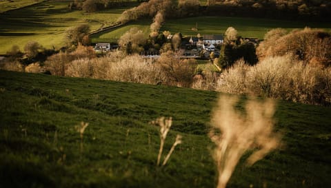 Brace of Pheasants Auberge in North Dorset District