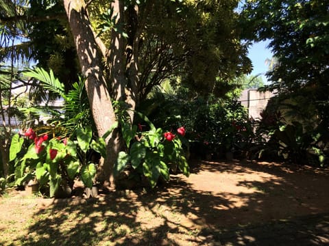 Garden, Garden view