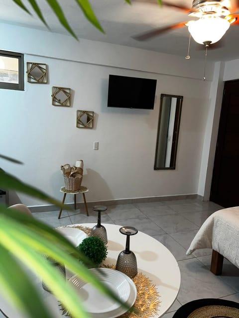 Midas 2 - 1 Habitacion Apartment in Zihuatanejo