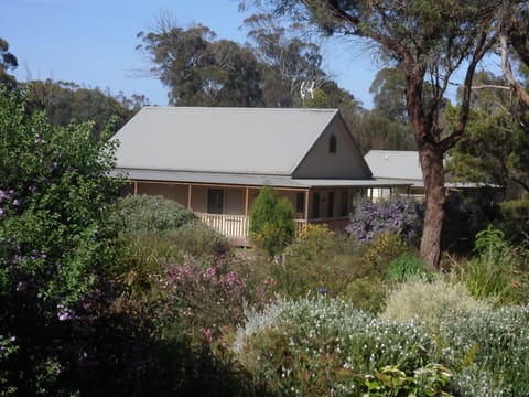 Property building, Spring, Day, Garden view