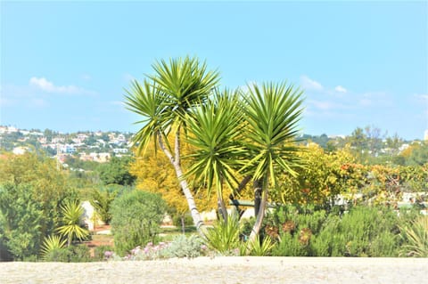 Villa Luna House in Faro District