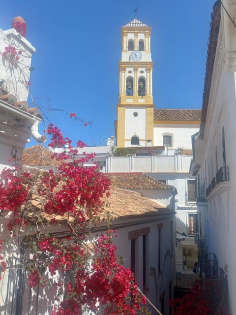 Precioso y acogedor ático old town Apartamento in Marbella