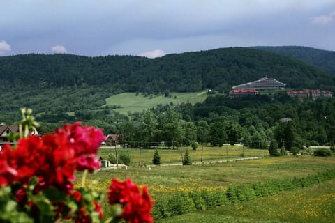 City view, Garden view, Mountain view