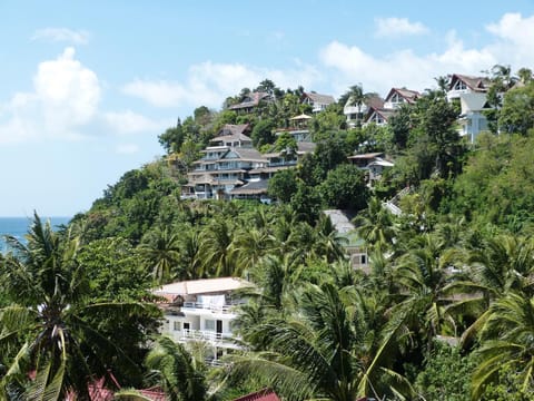 Bird's eye view, Sea view