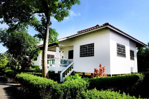 Patio, Garden, Garden view