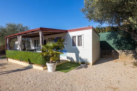 Day, Garden view