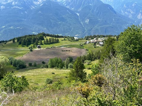 Casa Luigina Apartment in Torgnon