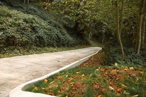 Day, Natural landscape, Summer